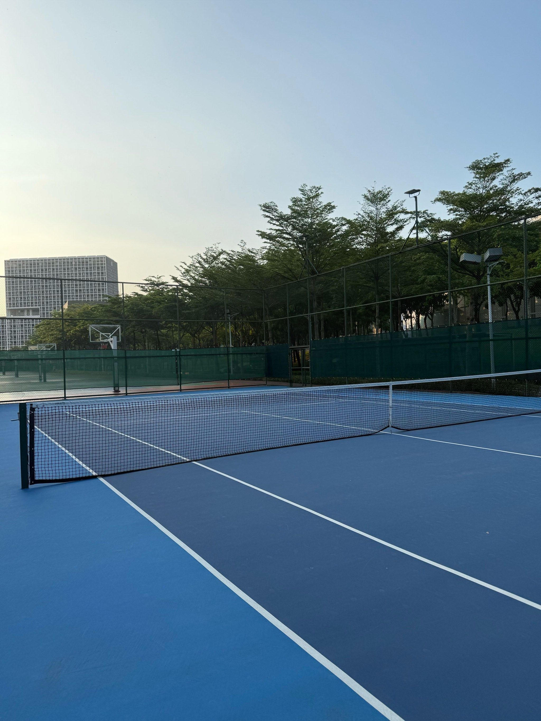 维加作为切 维加作为切